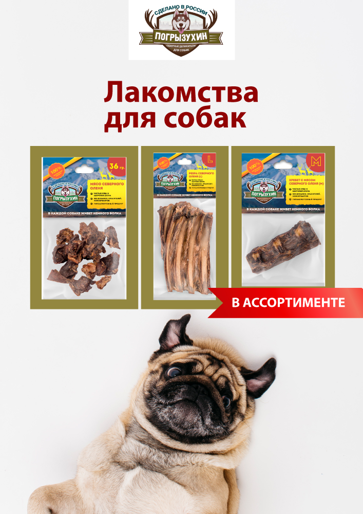 Багира Уфа Интернет Магазин Зоомагазин